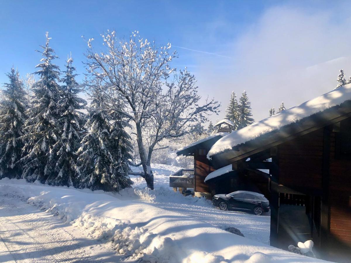 Le Chalet De Nabor Les Gets Exterior photo